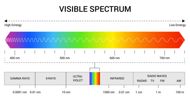 Is Blue Light Really Harmful? What Science Actually Says