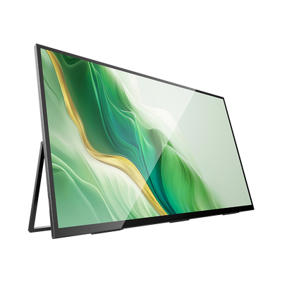 23.8 Inch 120Hz Business Monitor 1080P HDR Mountable Portable Computer Display