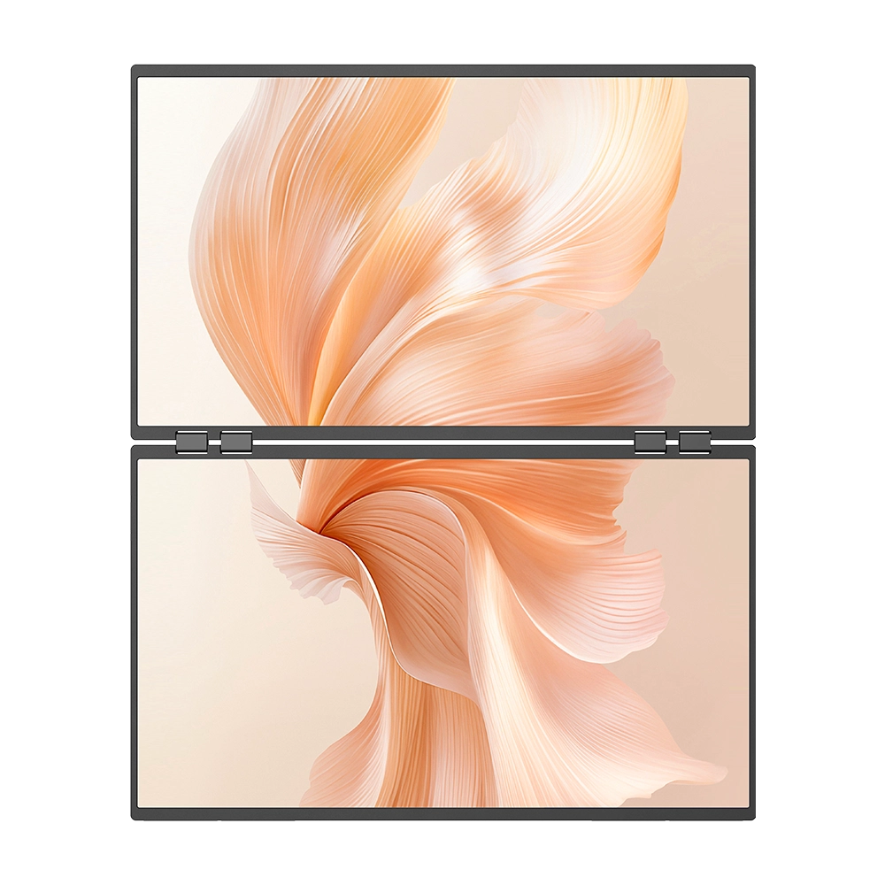 Delta Mega - 23.8 Inch 100Hz Dual Screen Stacked Computer Monitor with Speakers