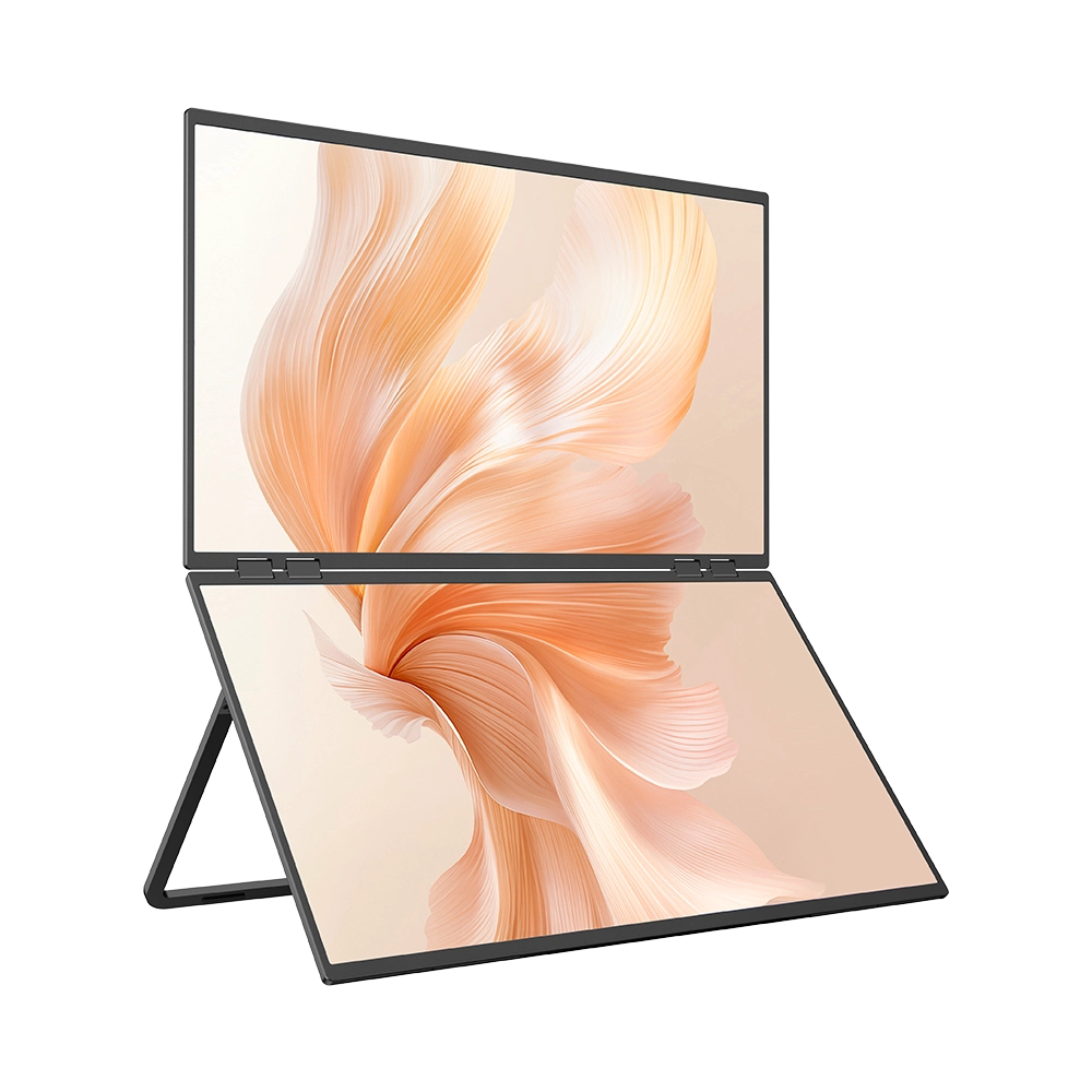 23 Inch Dual Screen 100Hz Stacked Computer Monitor with Speakers