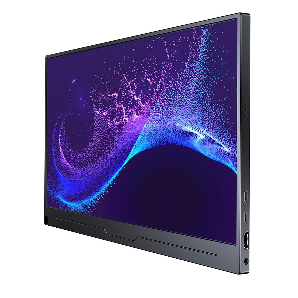 Upgrade 15.6" Business Monitor 1080P VESA Portable Display